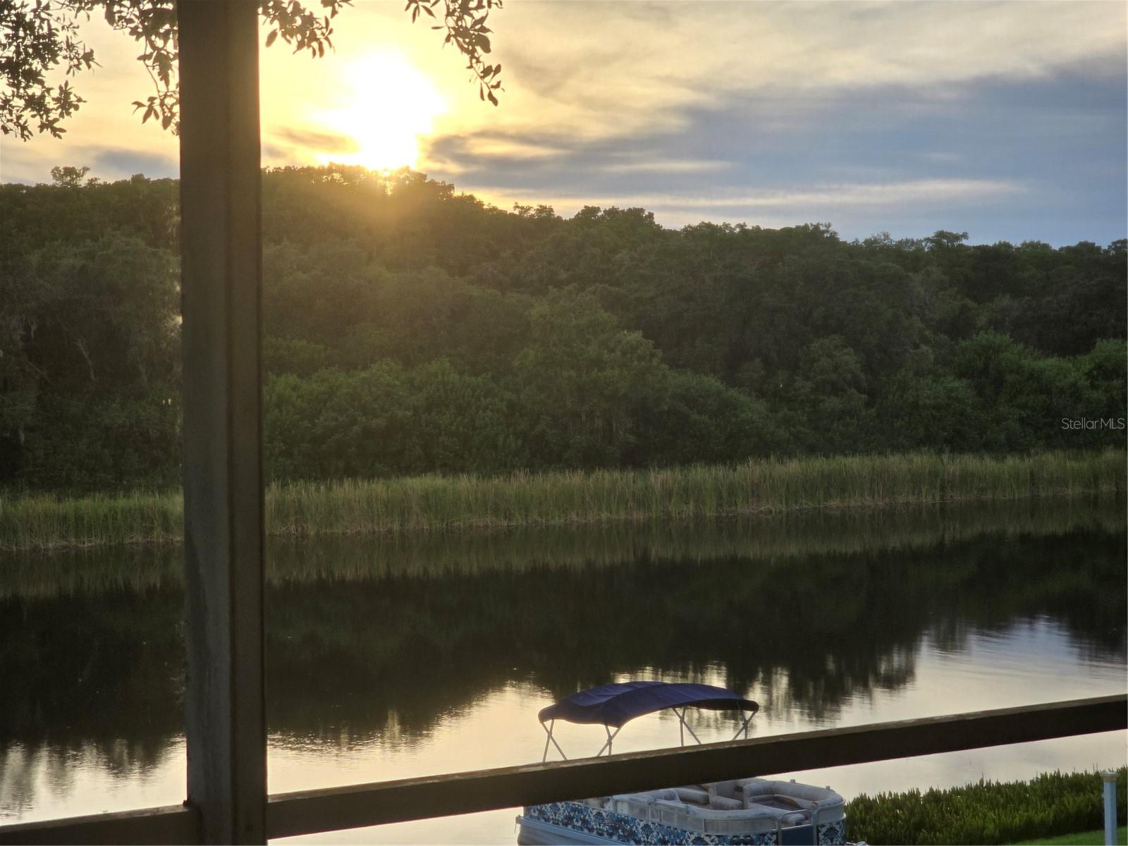 BOOT RANCH - EAGLE WATCH, PALM HARBOR, FL, 34685