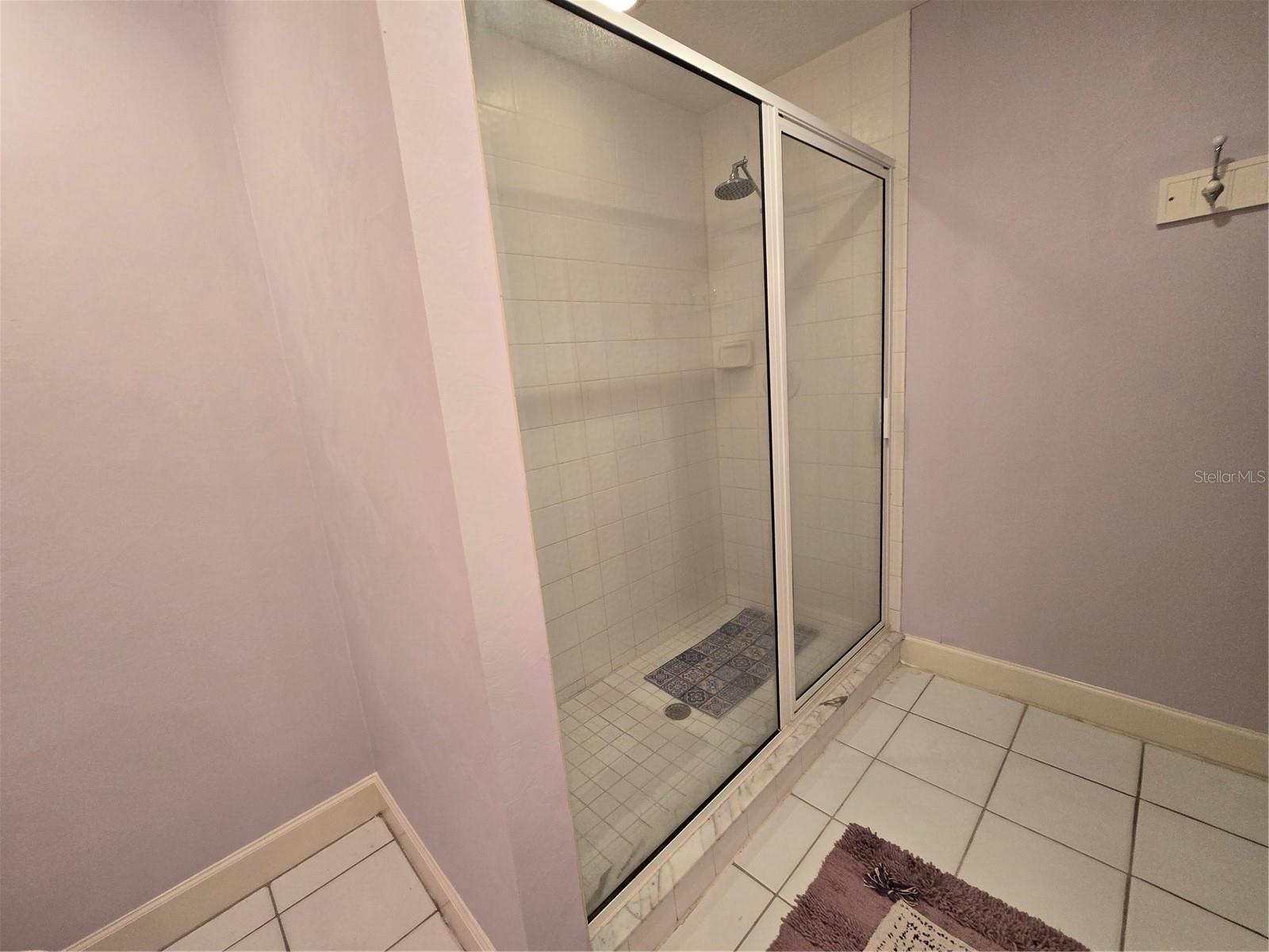 BOOT RANCH - EAGLE WATCH, PALM HARBOR, FL, 34685