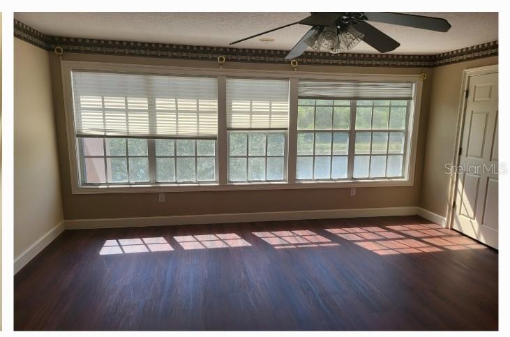 BOOT RANCH - EAGLE WATCH, PALM HARBOR, FL, 34685