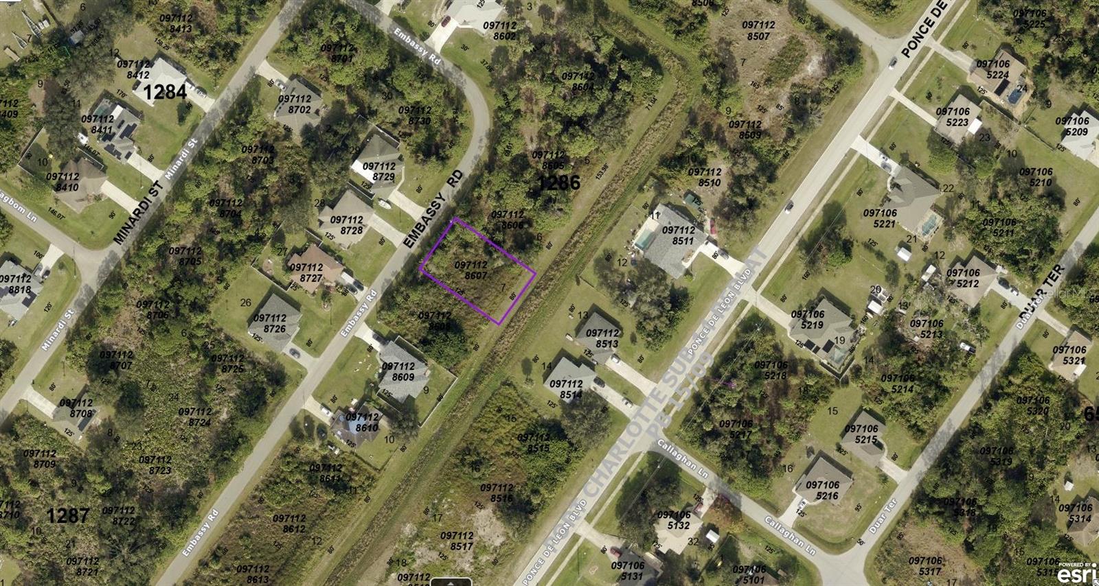 0971128607 EMBASSY RD, NORTH PORT, FL, 34291
