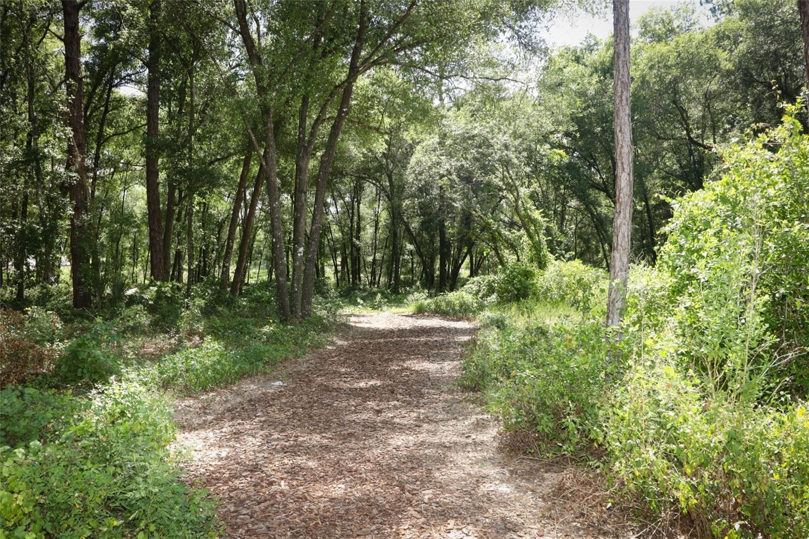 1705 SHADOW TRACE WAY, DELAND, FL, 32720