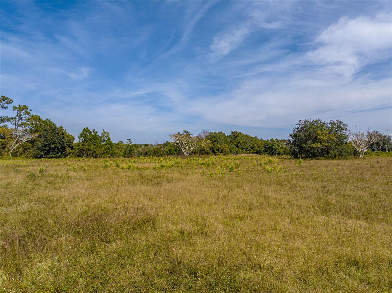 9070 STATE ROAD 33, GROVELAND, FL, 34736