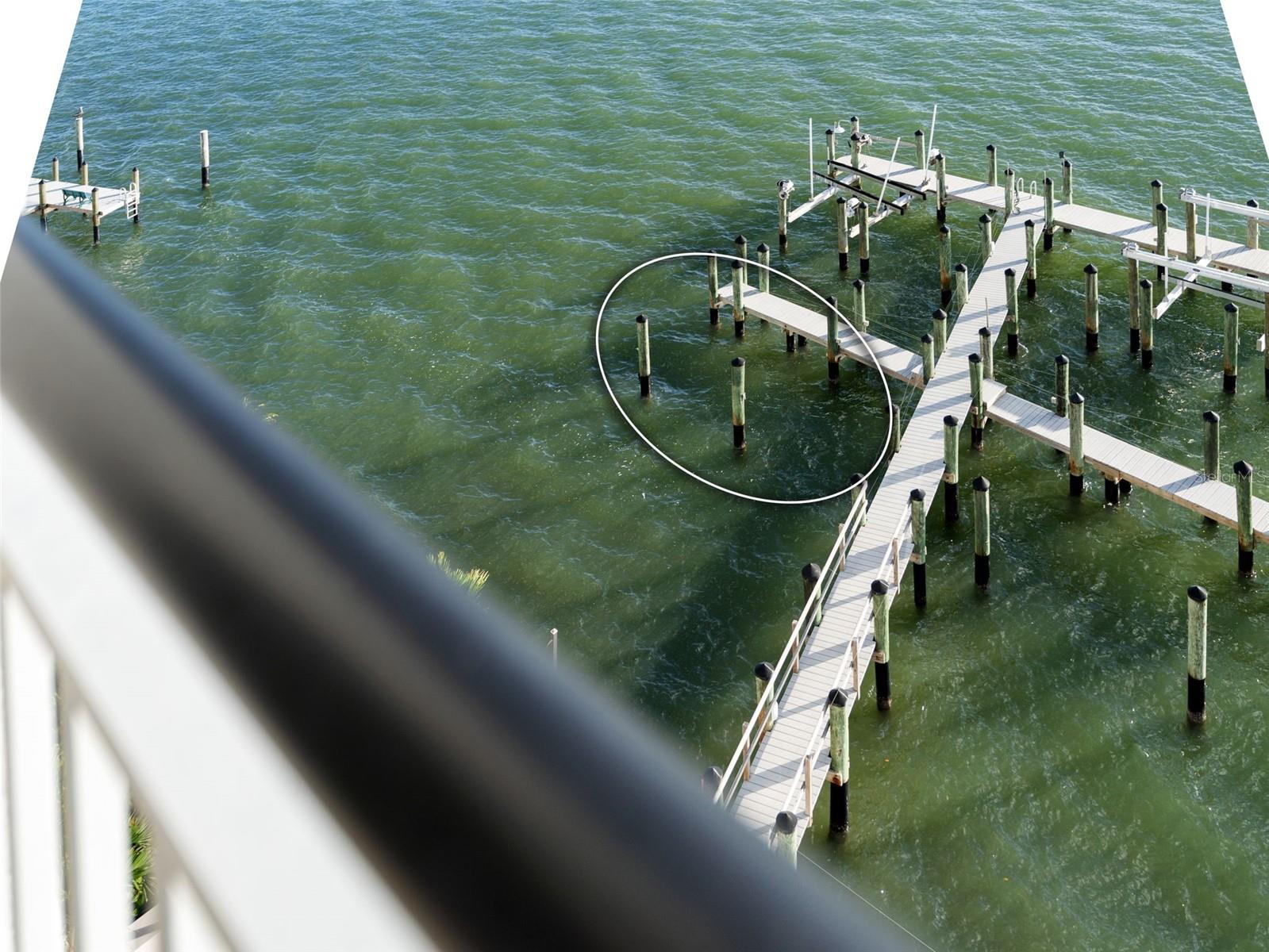306 GOLDEN GATE PT #7, SARASOTA, FL, 34236