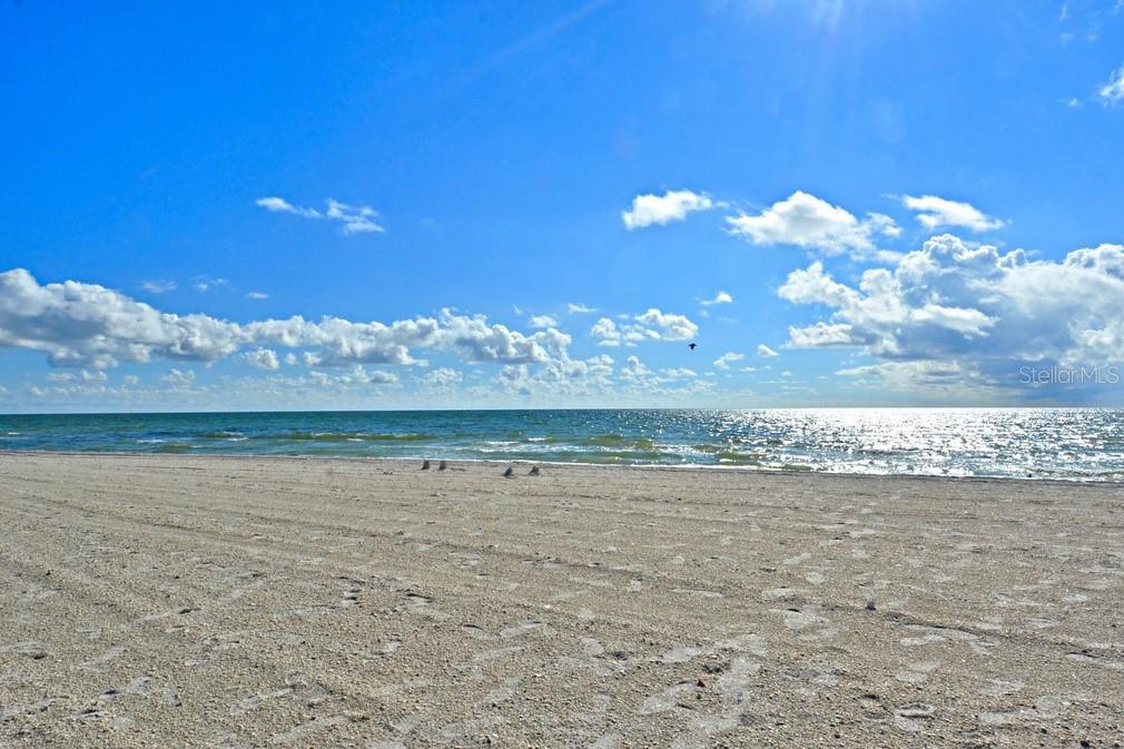 7532 BAYSHORE DR #205, TREASURE ISLAND, FL, 33706