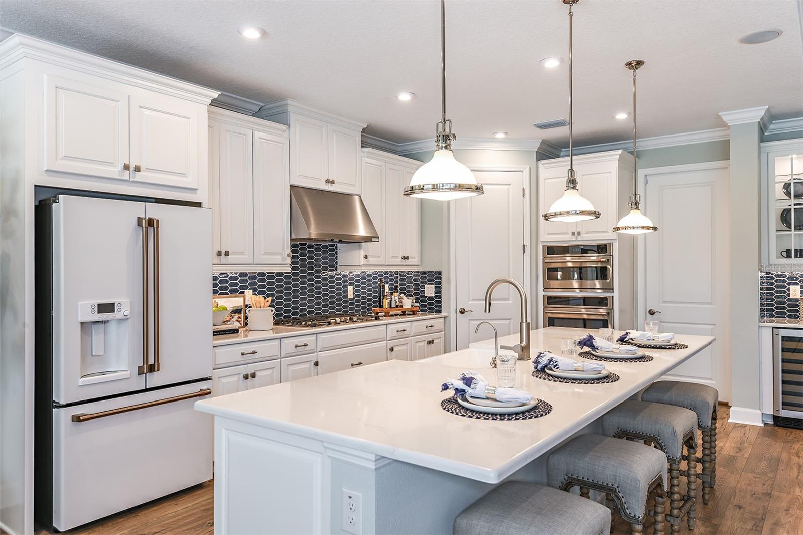 33895 ANCHOR LIGHT LN, WESLEY CHAPEL, FL, 33543