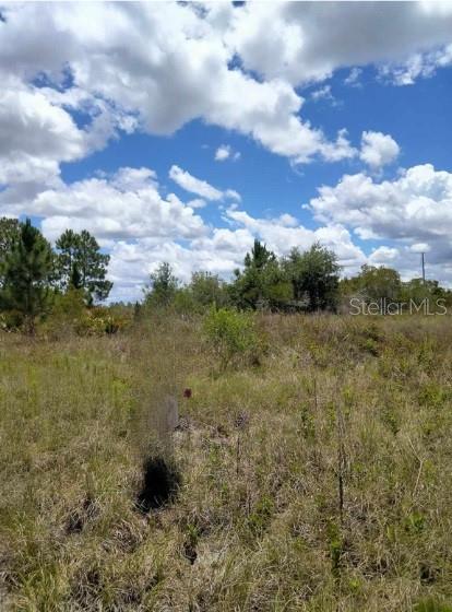 1264 S MCCOY RD, AVON PARK, FL, 33825