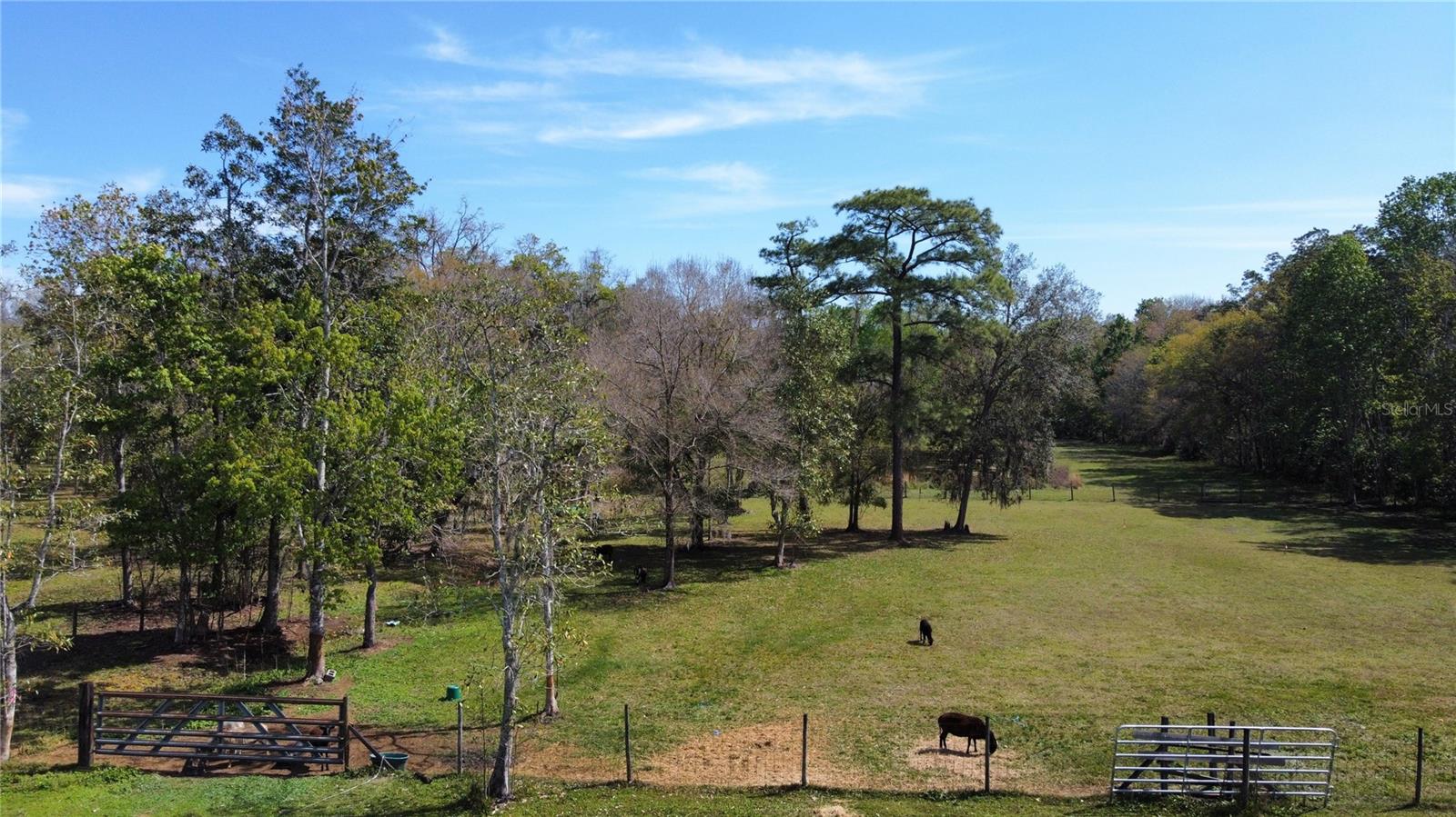 1431 PALOMINO WAY, OVIEDO, FL, 32765