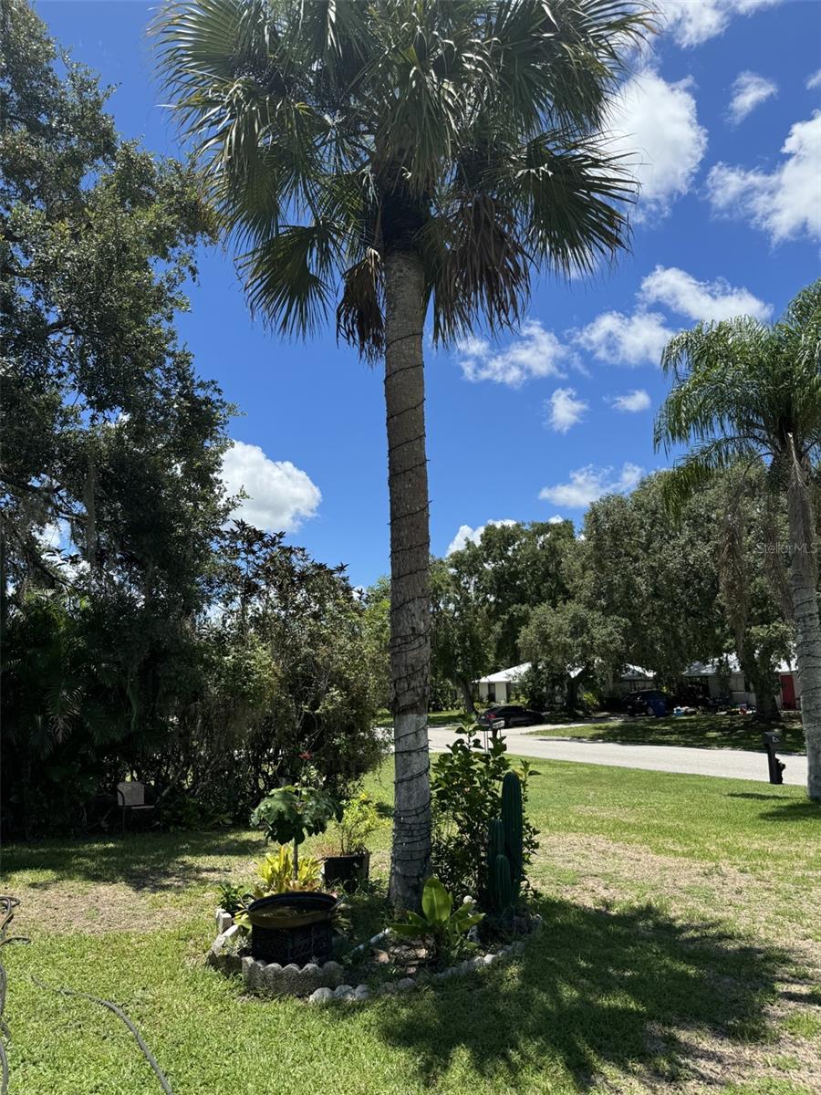 4029 E SUNFLOWER CIR, LABELLE, FL, 33935