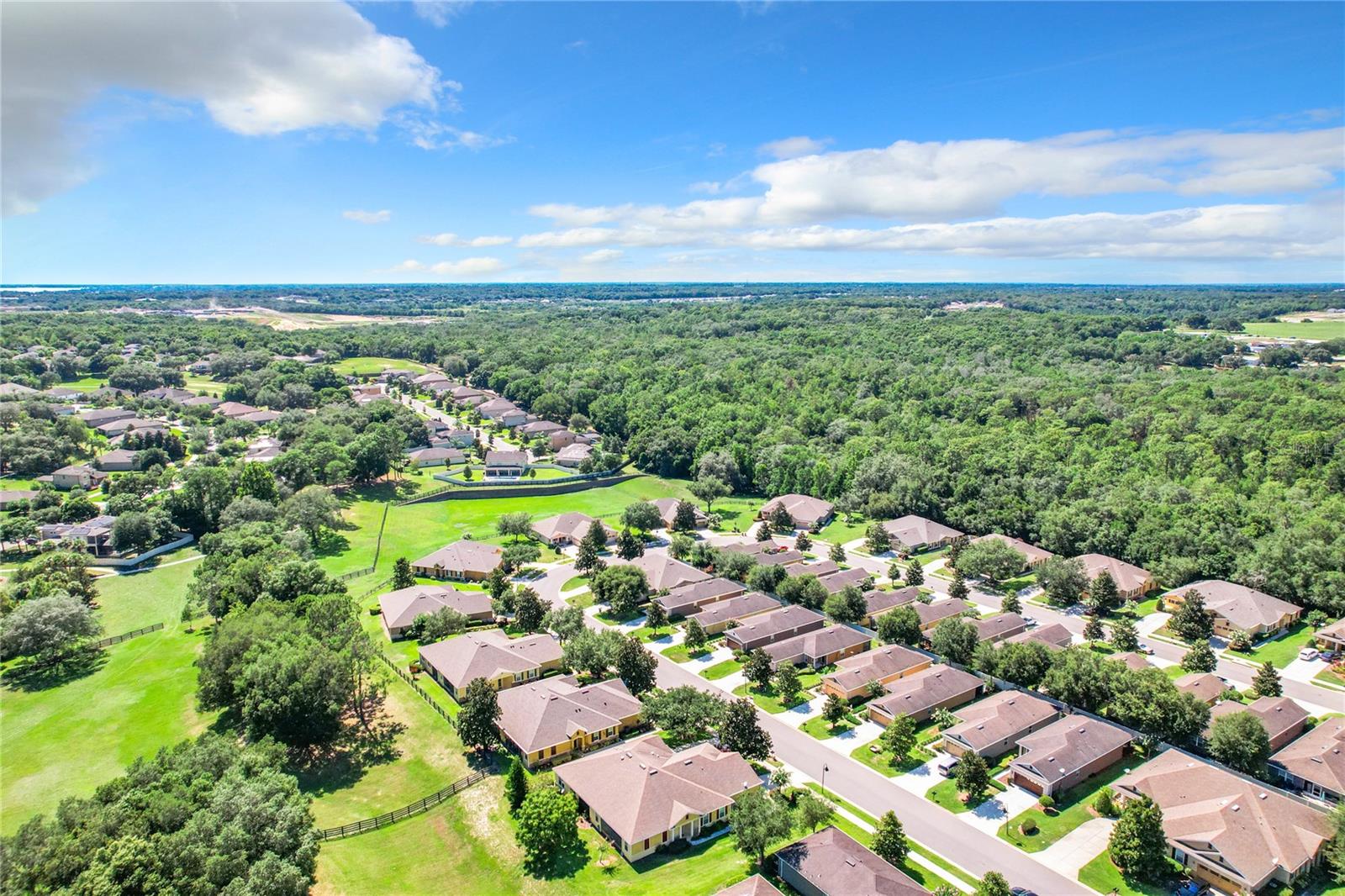 30732 LIPIZZAN TER, MOUNT DORA, FL, 32757