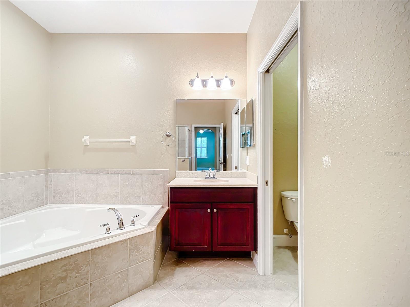 30732 LIPIZZAN TER, MOUNT DORA, FL, 32757
