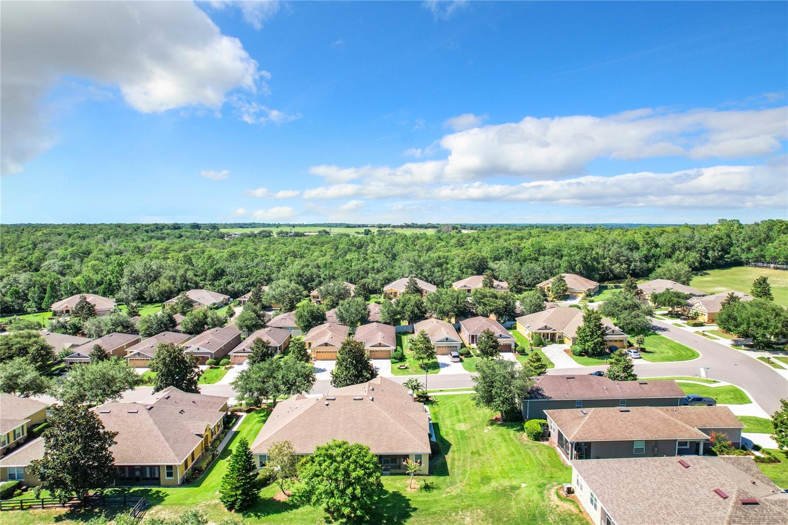 30732 LIPIZZAN TER, MOUNT DORA, FL, 32757