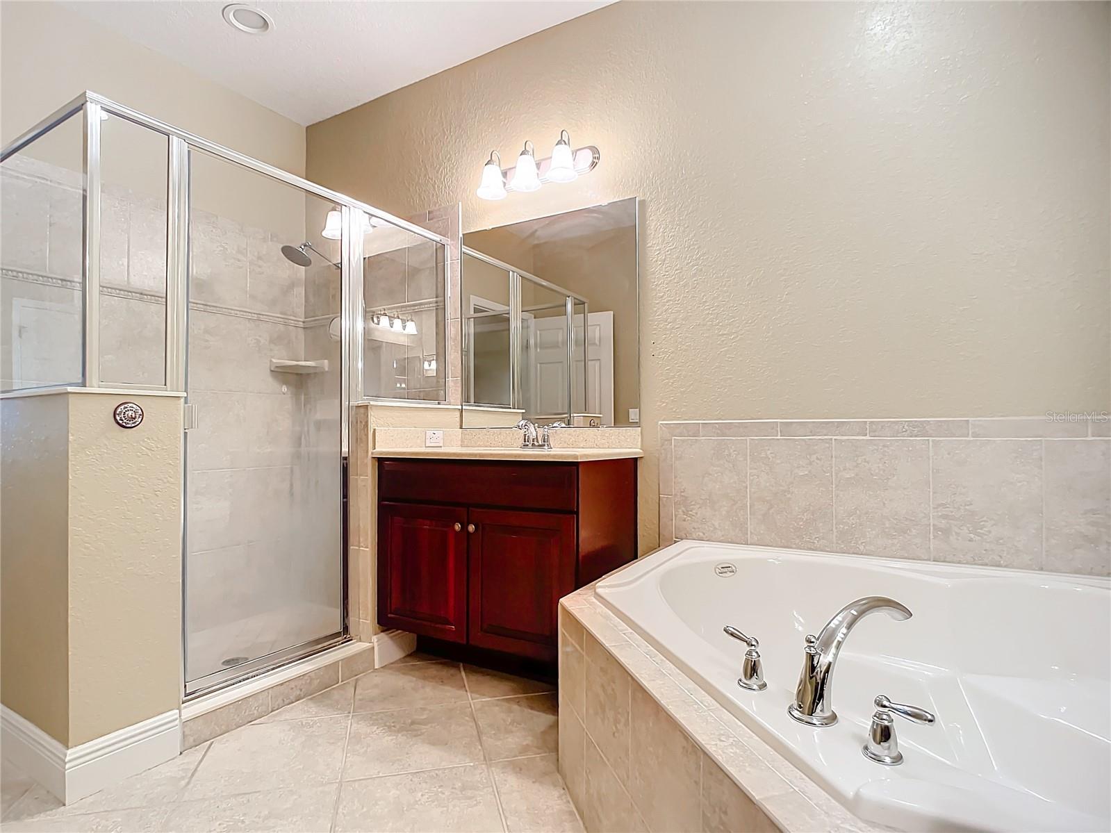 30732 LIPIZZAN TER, MOUNT DORA, FL, 32757