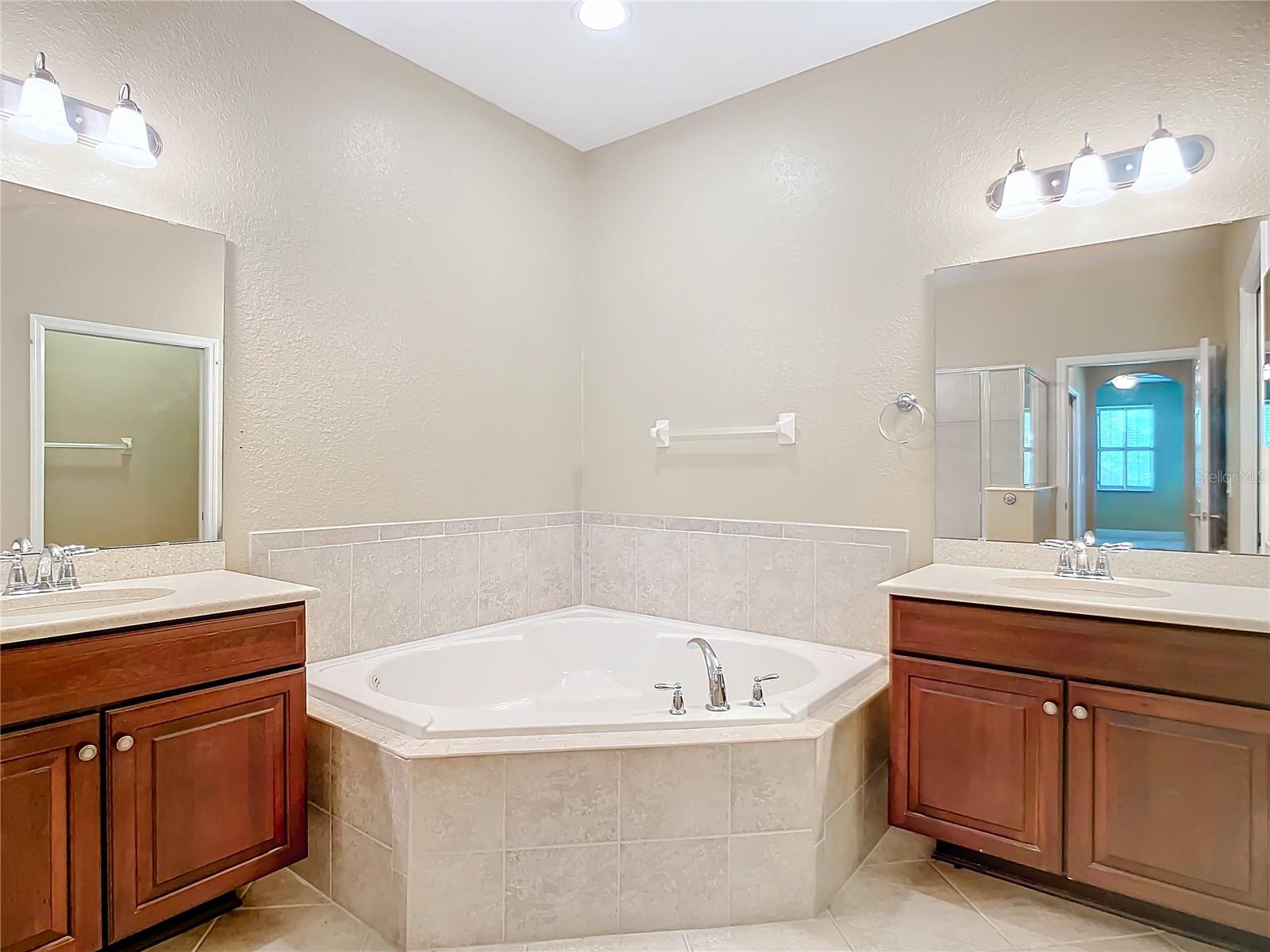 30732 LIPIZZAN TER, MOUNT DORA, FL, 32757