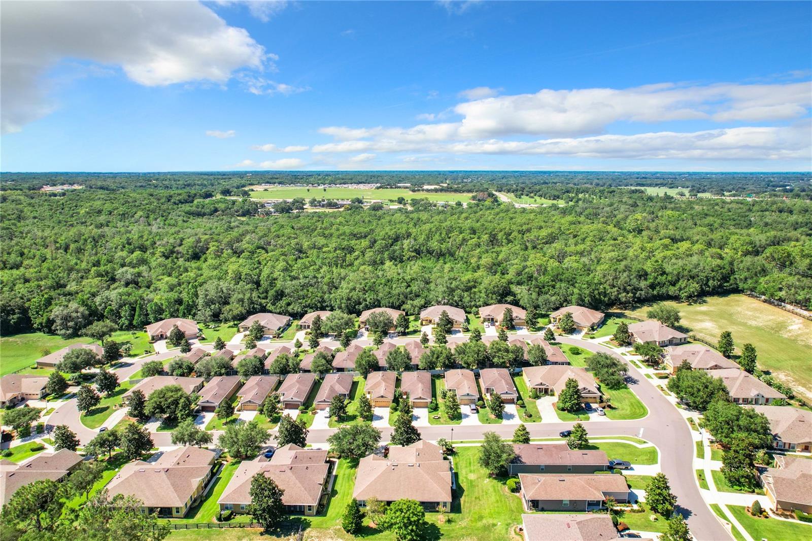 30732 LIPIZZAN TER, MOUNT DORA, FL, 32757