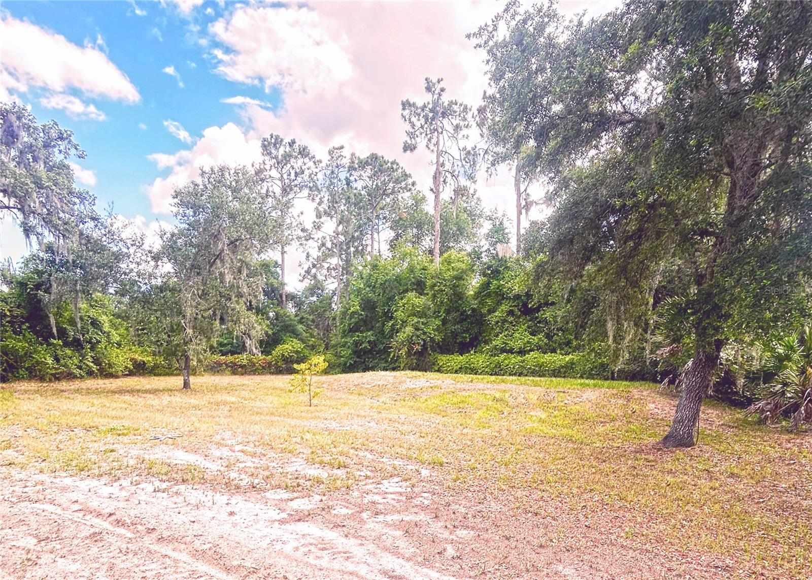 6330 OIL WELL RD, CLERMONT, FL, 34714