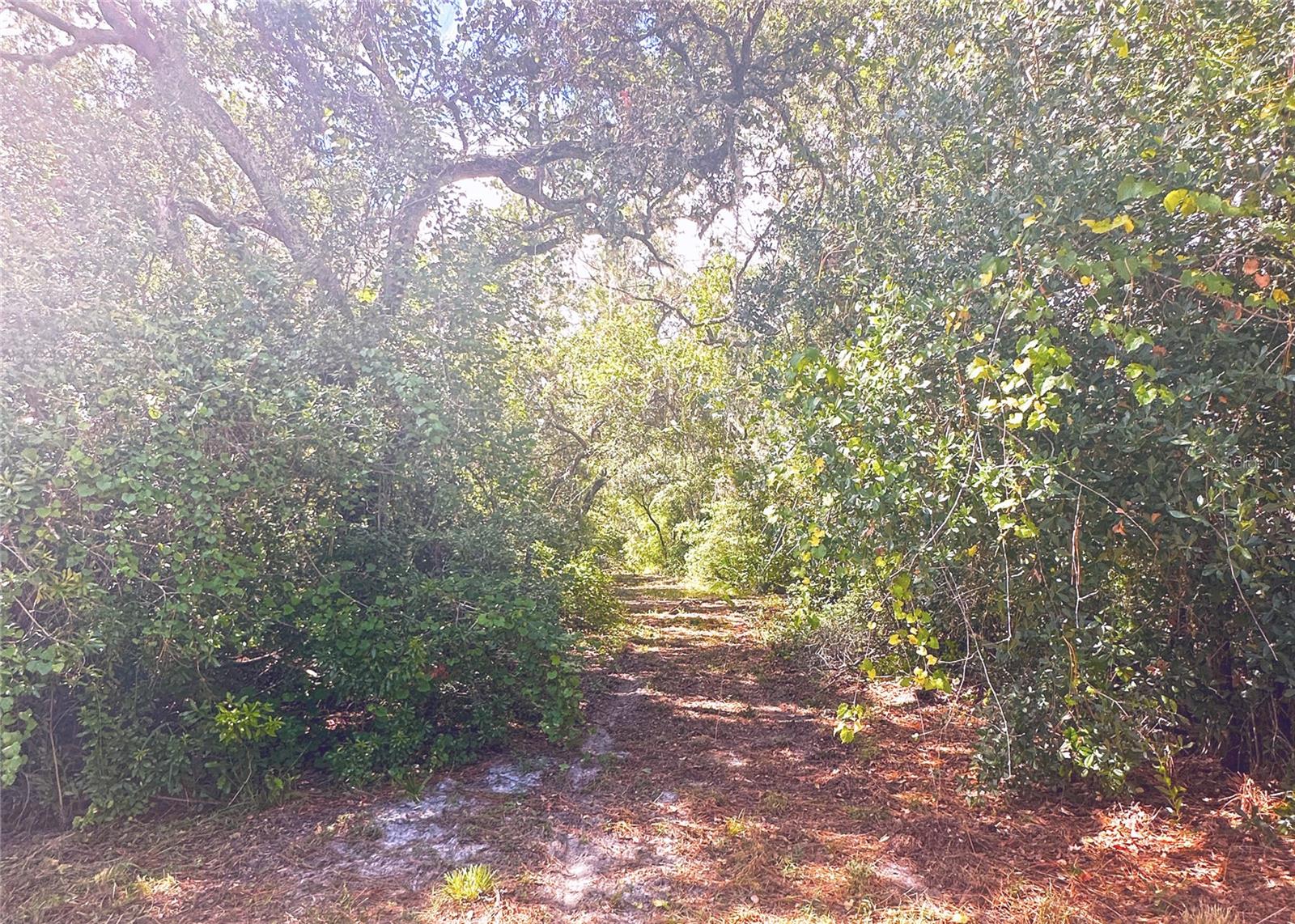 6330 OIL WELL RD, CLERMONT, FL, 34714