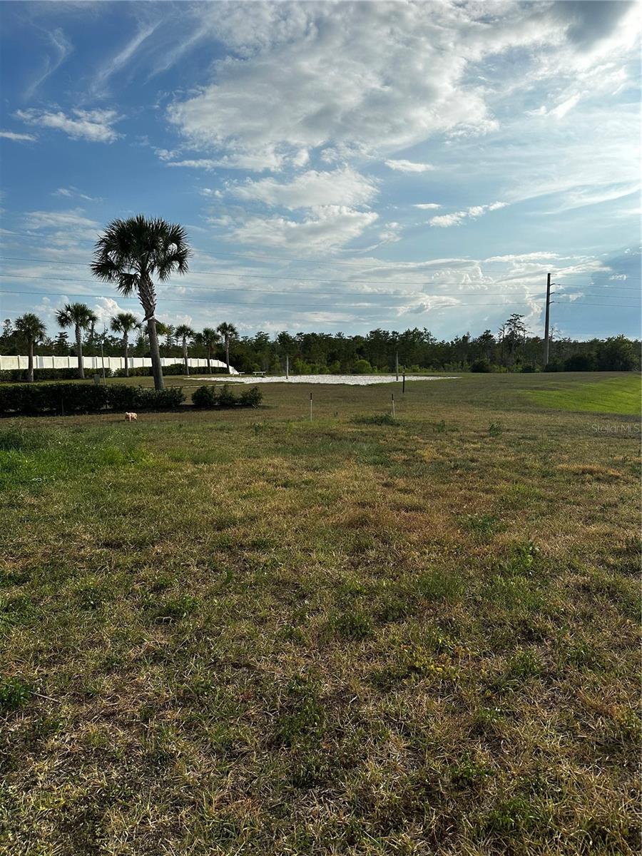 12351 NORTHOVER LOOP, ORLANDO, FL, 32824