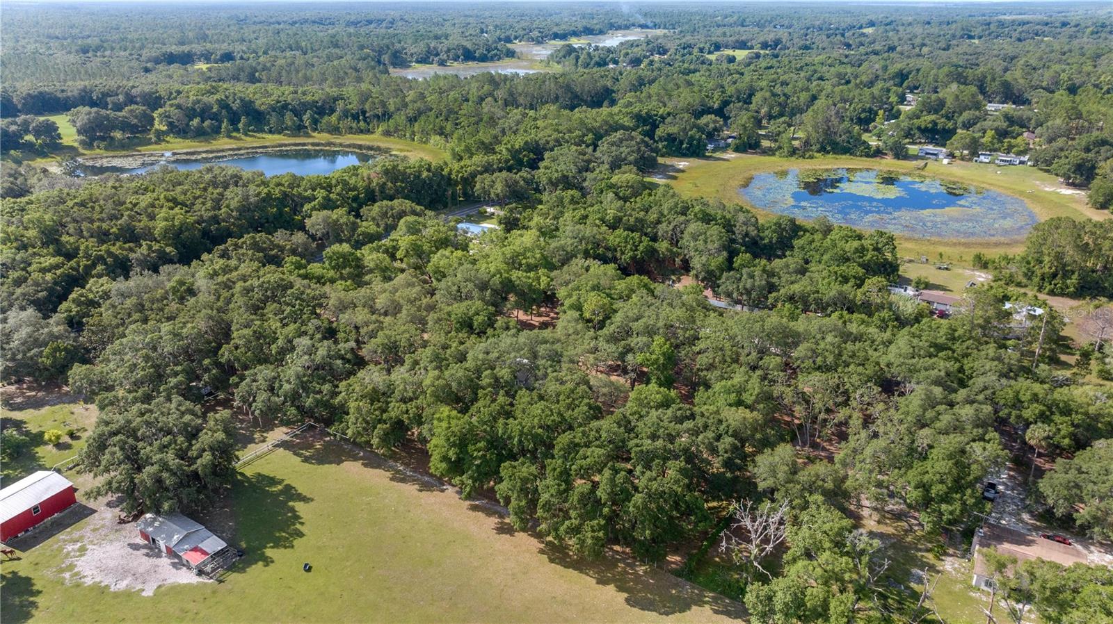 8328 SE 180TH AVENUE RD, OCKLAWAHA, FL, 32179