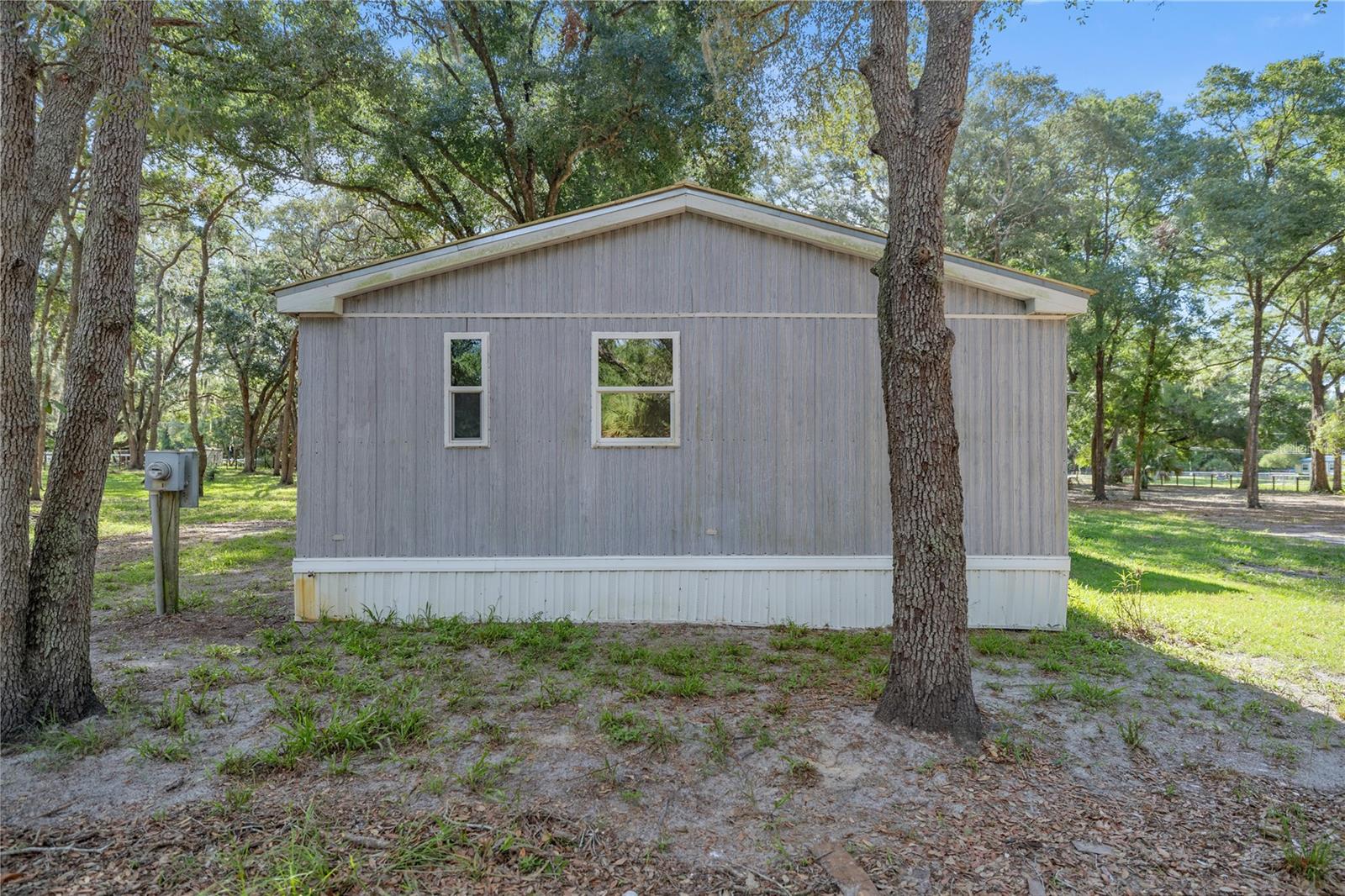 8328 SE 180TH AVENUE RD, OCKLAWAHA, FL, 32179