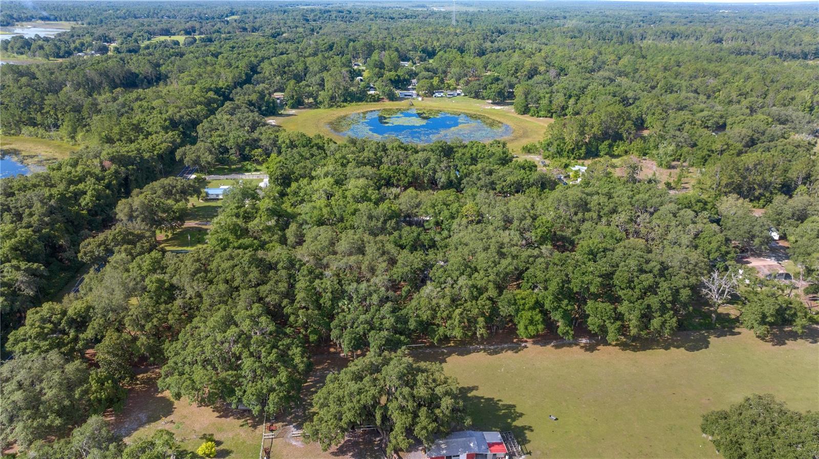 8328 SE 180TH AVENUE RD, OCKLAWAHA, FL, 32179