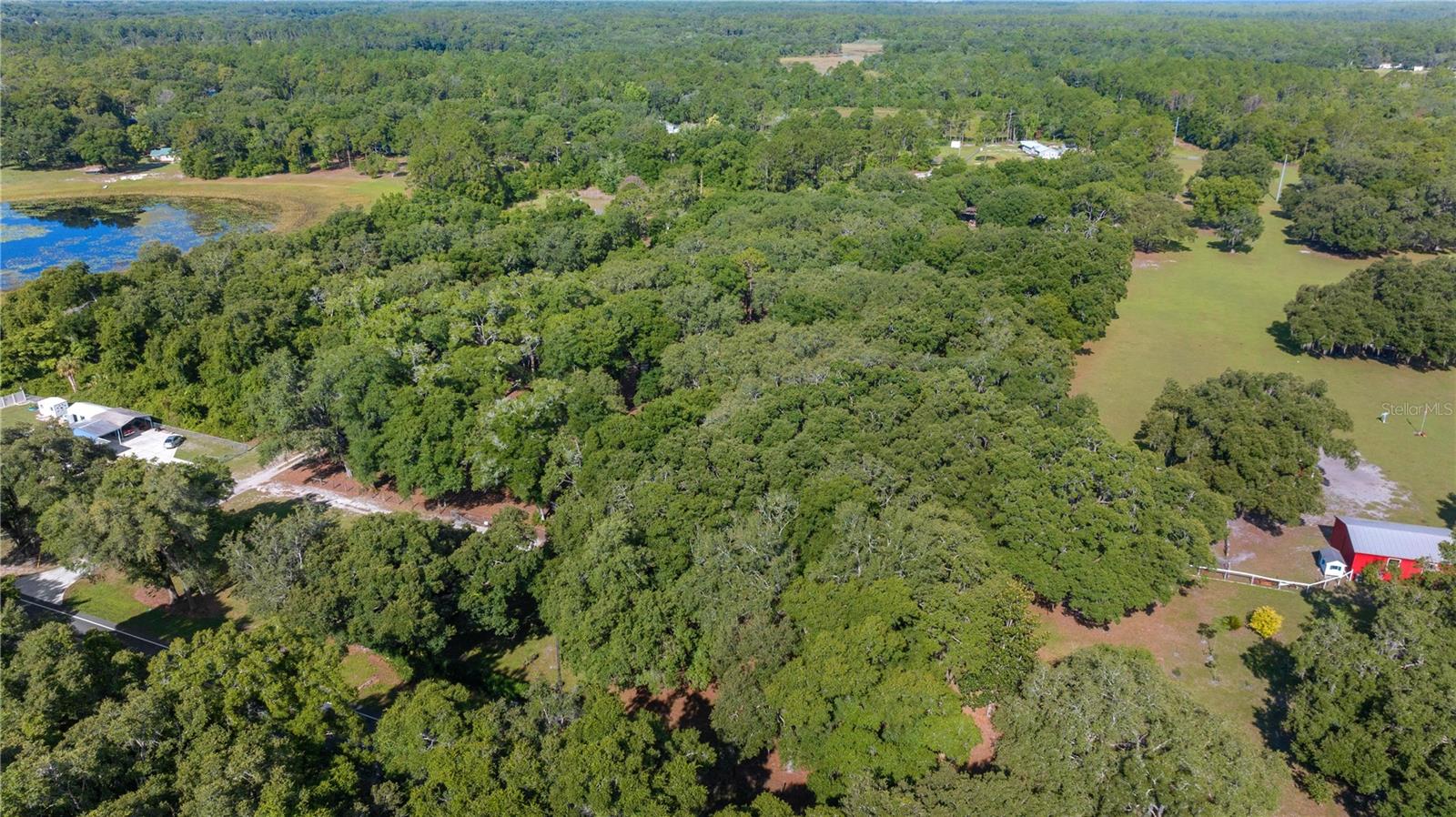 8328 SE 180TH AVENUE RD, OCKLAWAHA, FL, 32179