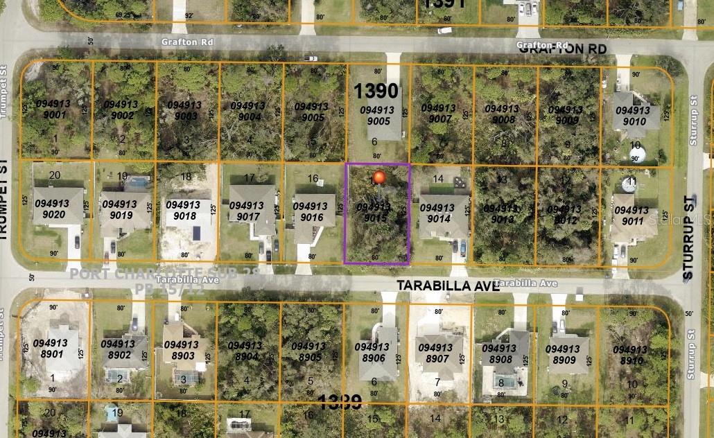 TARABILLA AVE, NORTH PORT, FL, 34291