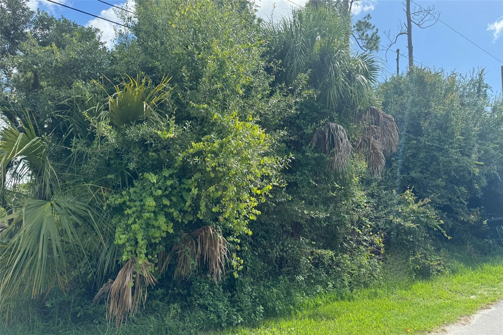 TARABILLA AVE, NORTH PORT, FL, 34291