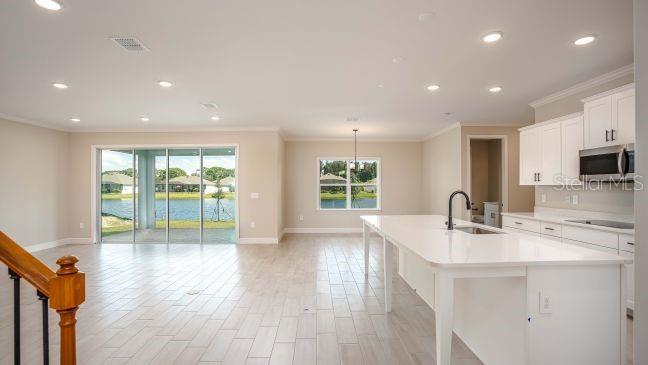 4005 PURPLE SAGE CT, MIDDLEBURG, FL, 32068