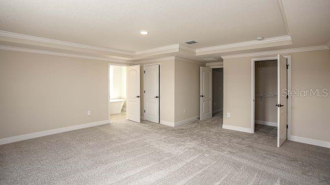 4005 PURPLE SAGE CT, MIDDLEBURG, FL, 32068