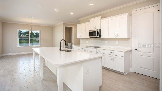 4005 PURPLE SAGE CT, MIDDLEBURG, FL, 32068