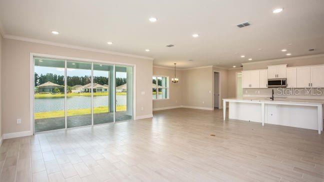 4005 PURPLE SAGE CT, MIDDLEBURG, FL, 32068