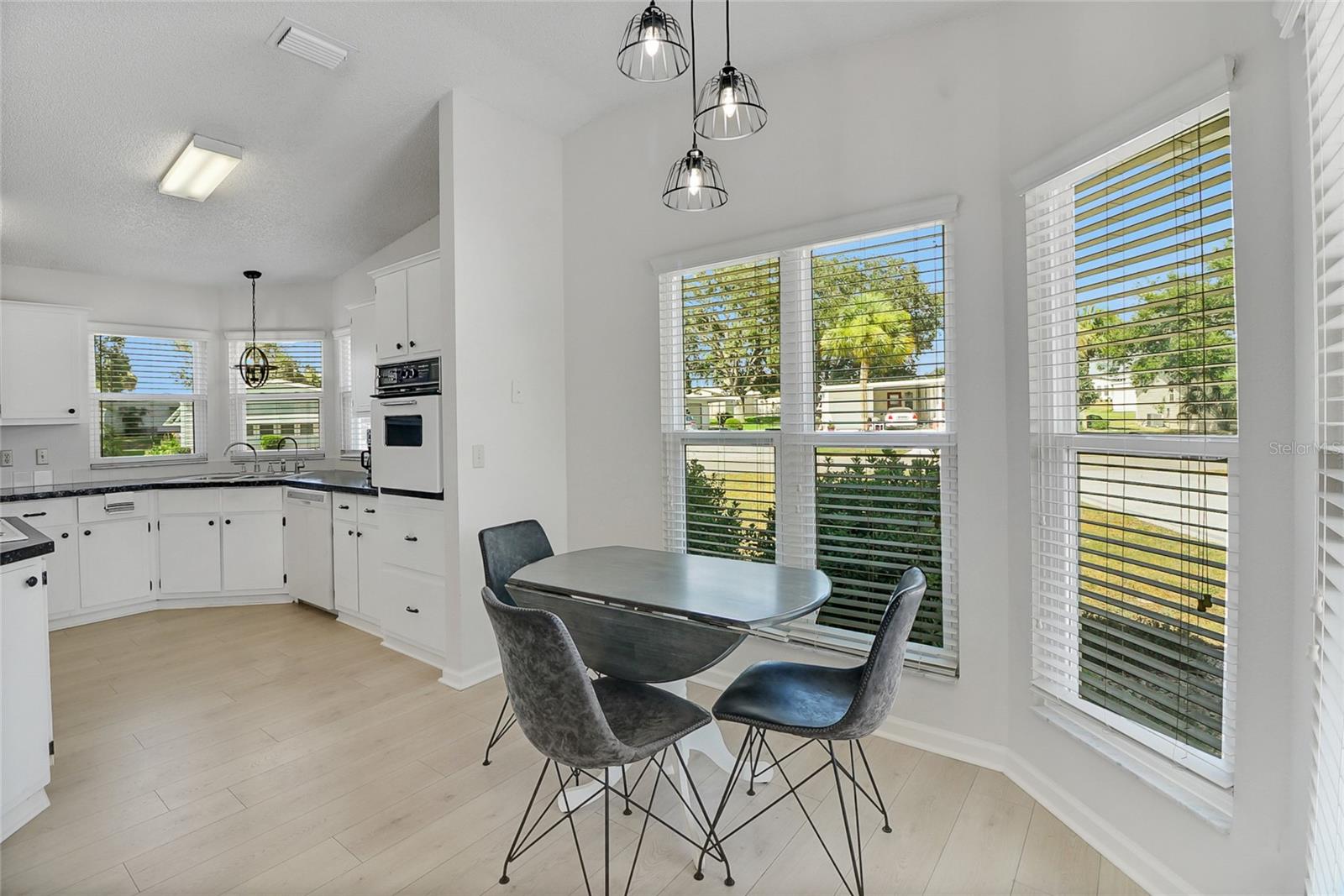 1104 PARADISE DR, THE VILLAGES, FL, 32159