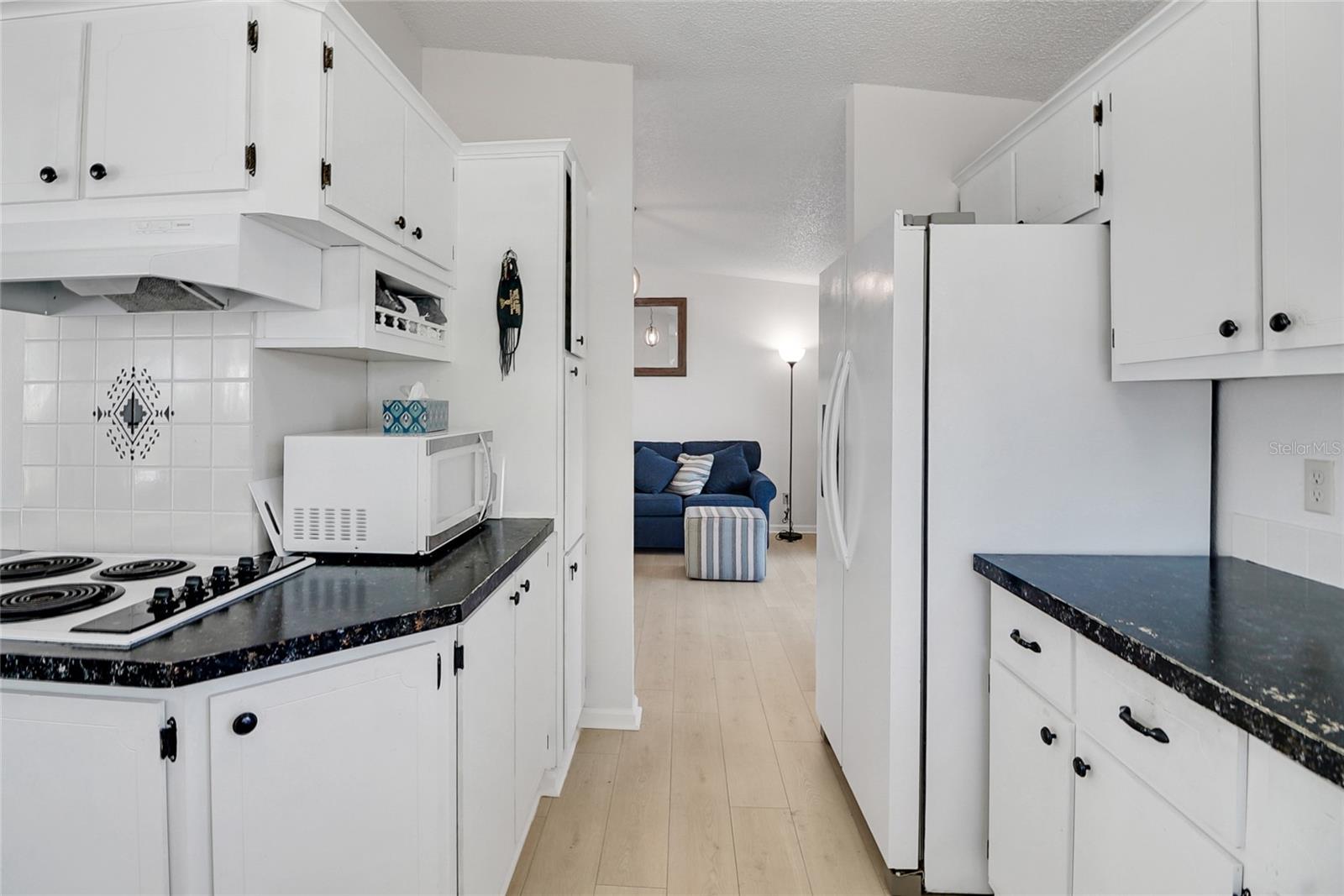 1104 PARADISE DR, THE VILLAGES, FL, 32159