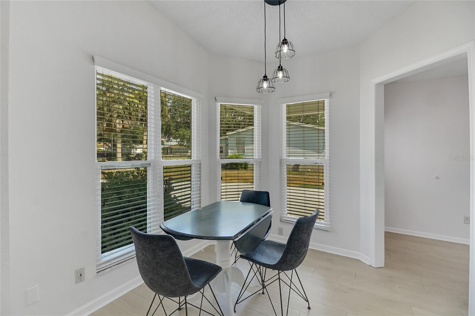 1104 PARADISE DR, THE VILLAGES, FL, 32159