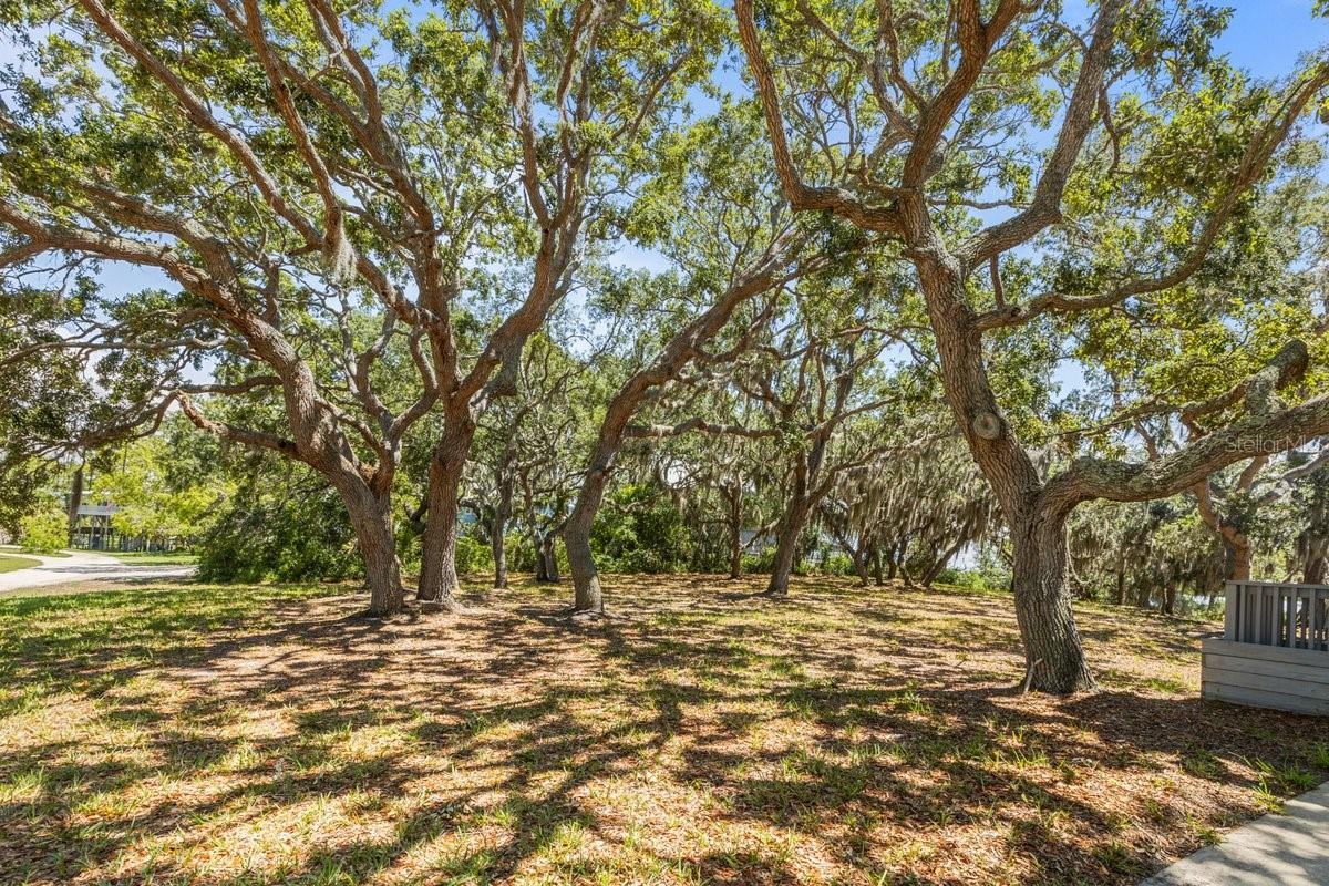 11531 SW 154TH AVE, CEDAR KEY, FL, 32625