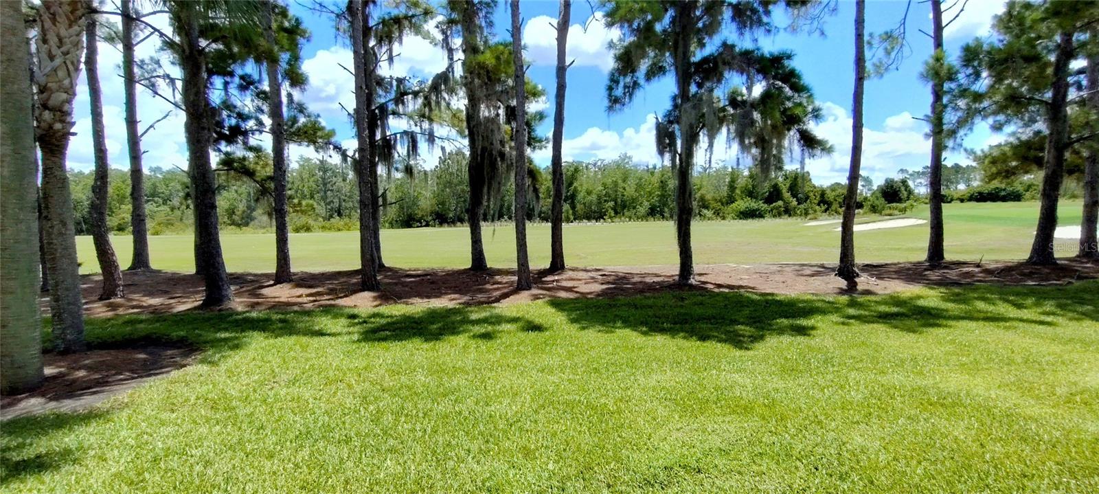 9441 MYRTLE CREEK LN #204, ORLANDO, FL, 32832