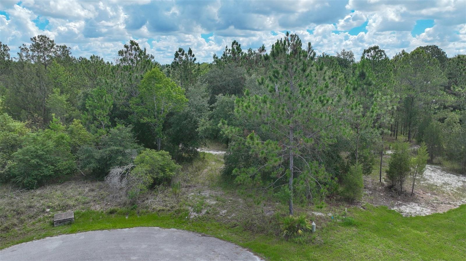 VALLEY BROOK CT, SPRING HILL, FL, 34606