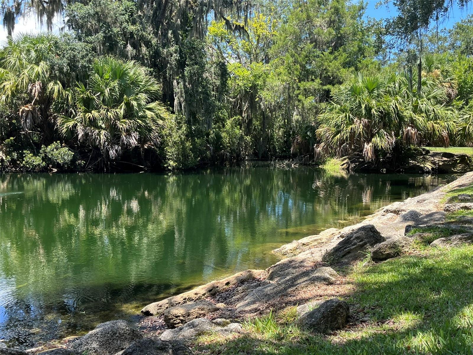 308 PALM COAST PKWY NE #203, PALM COAST, FL, 32137