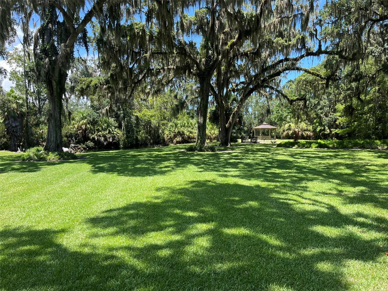 308 PALM COAST PKWY NE #203, PALM COAST, FL, 32137