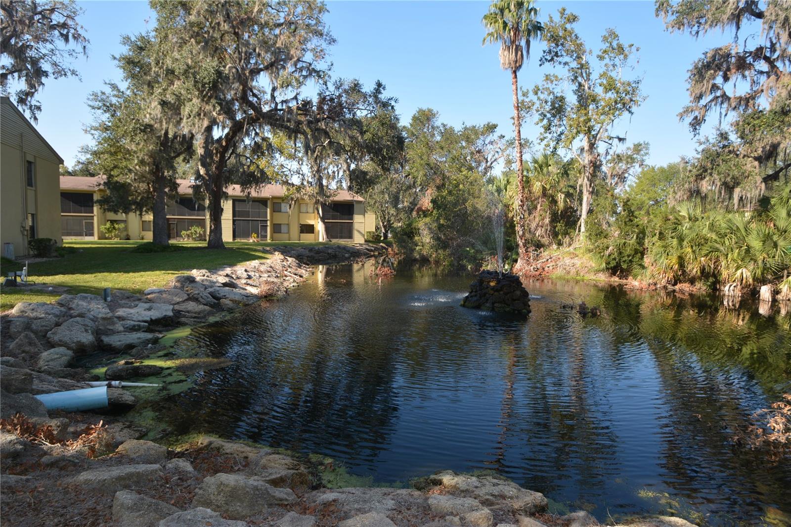 308 PALM COAST PKWY NE #203, PALM COAST, FL, 32137