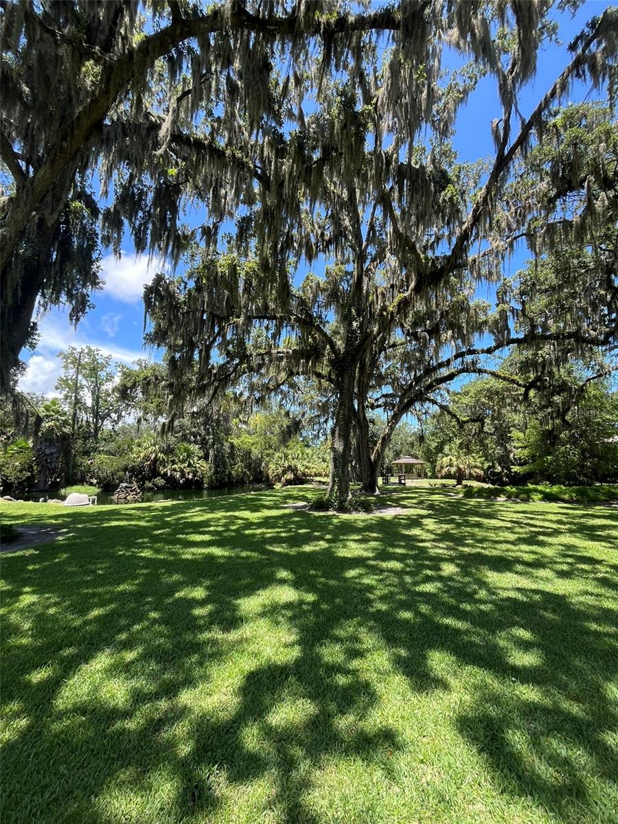 308 PALM COAST PKWY NE #203, PALM COAST, FL, 32137