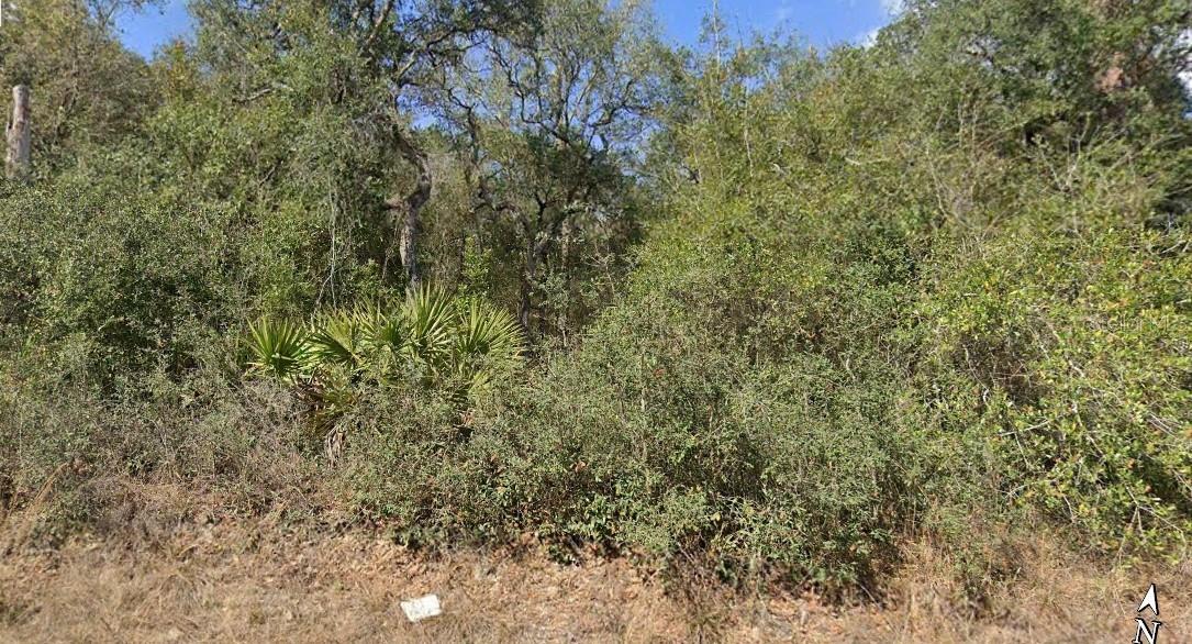 SE 214 TER, UMATILLA, FL, 32784