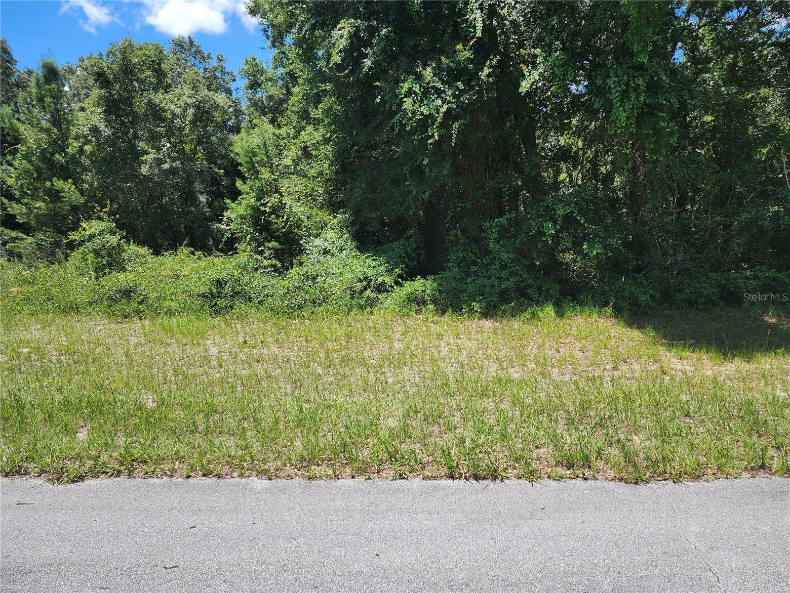 SW 132 LN, OCALA, FL, 34473