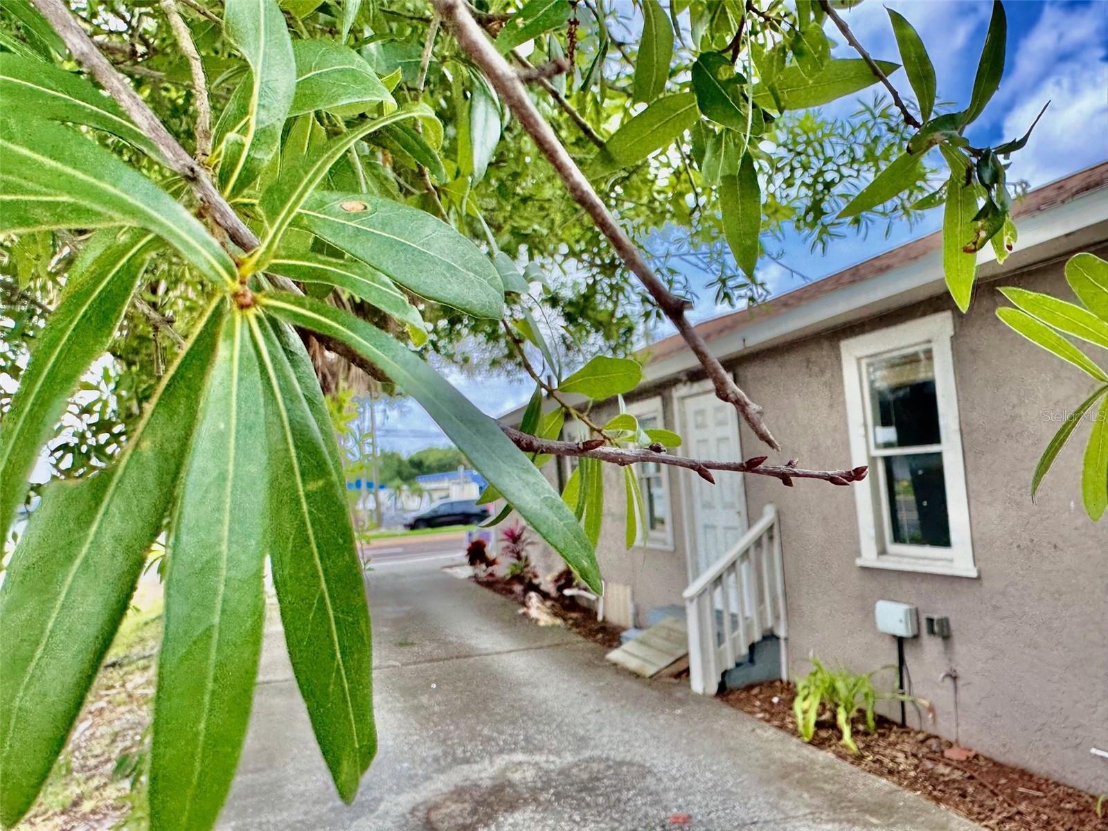 1170 COURT ST, CLEARWATER, FL, 33756