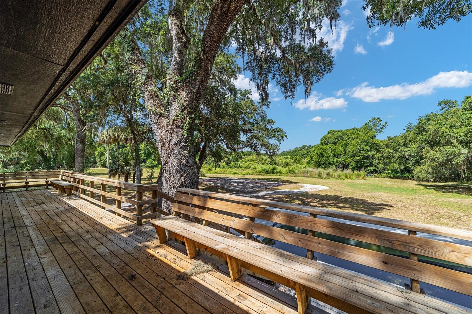 14260 NE 40TH CT, ANTHONY, FL, 32617