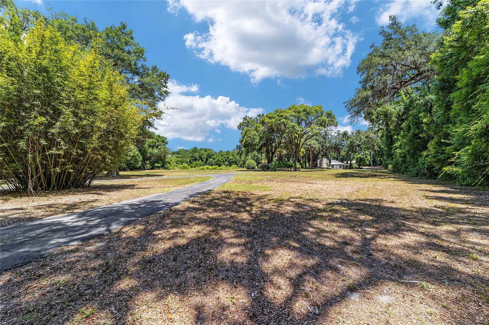 14260 NE 40TH CT, ANTHONY, FL, 32617