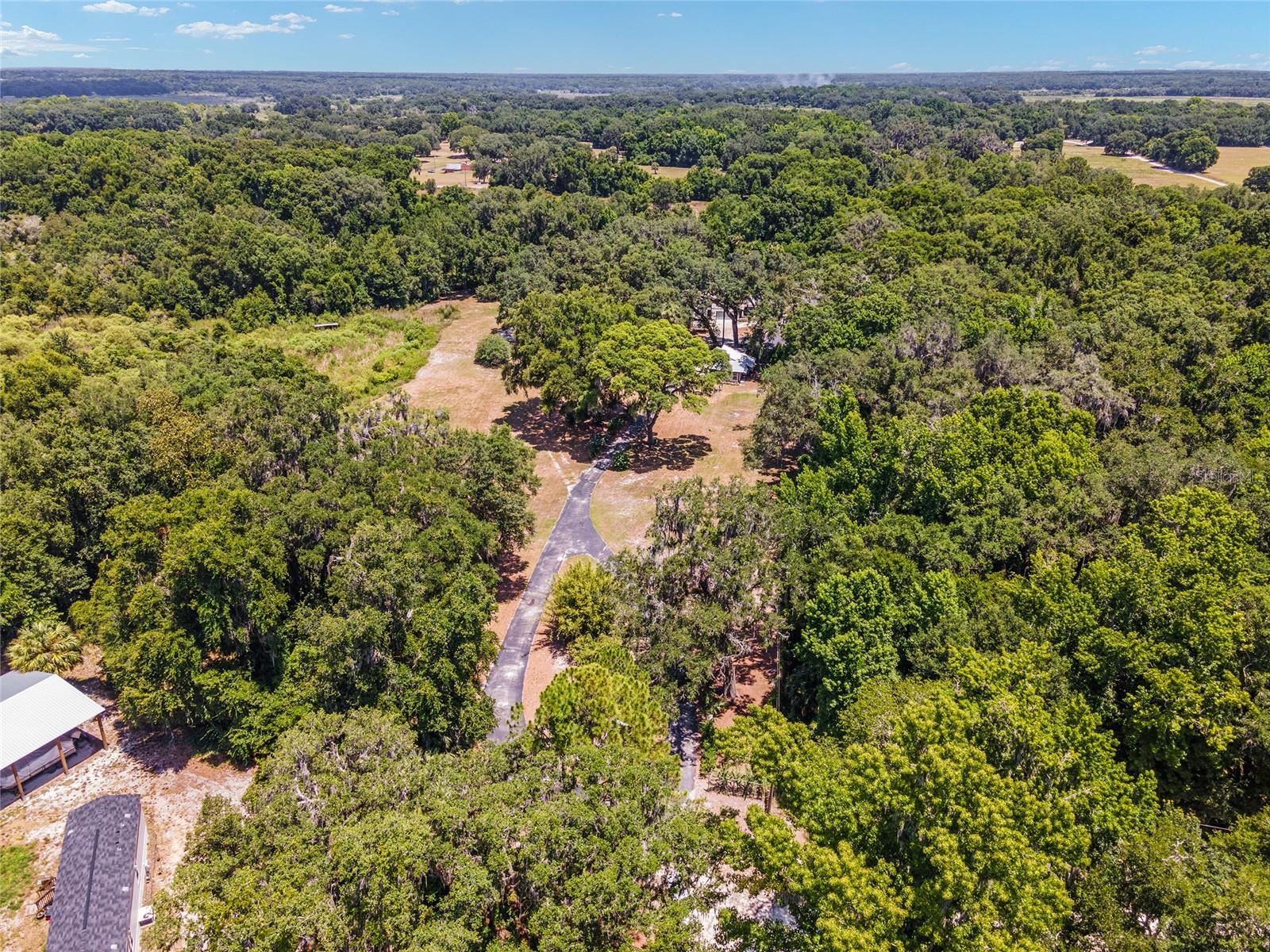 14260 NE 40TH CT, ANTHONY, FL, 32617