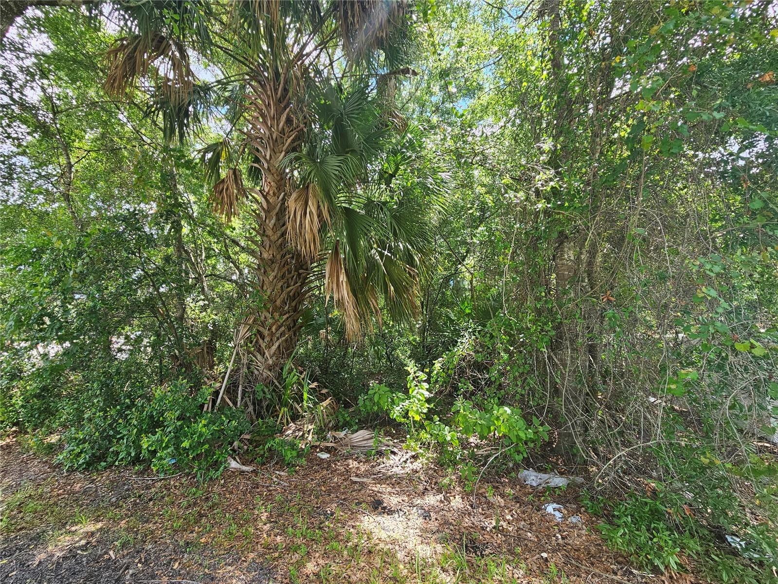 0 W BROADWAY ST, OVIEDO, FL, 32765
