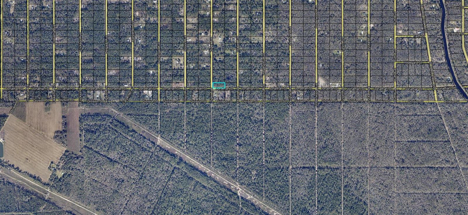 10730 ZIGLER AVE, HASTINGS, FL, 32145
