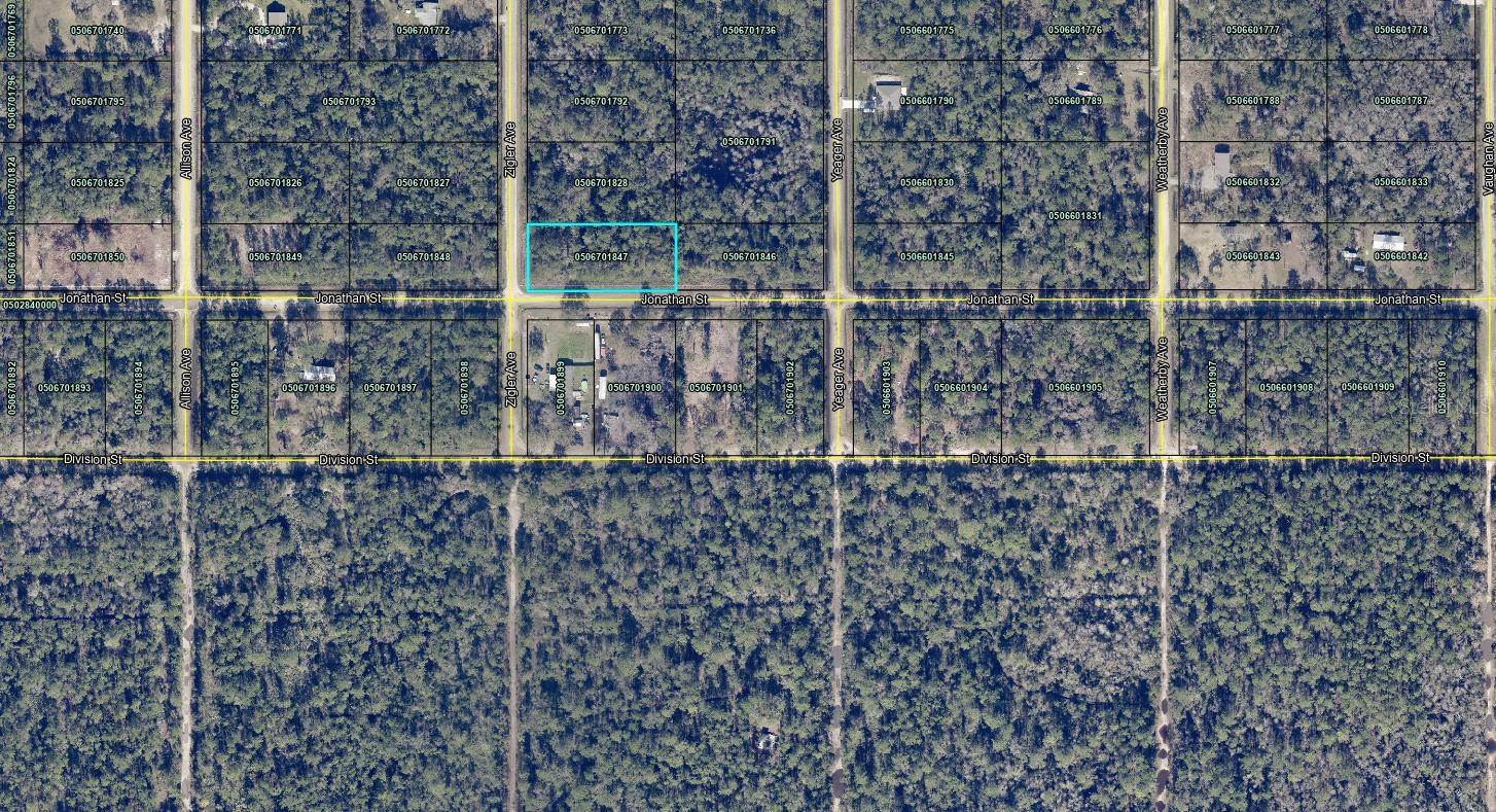 10730 ZIGLER AVE, HASTINGS, FL, 32145